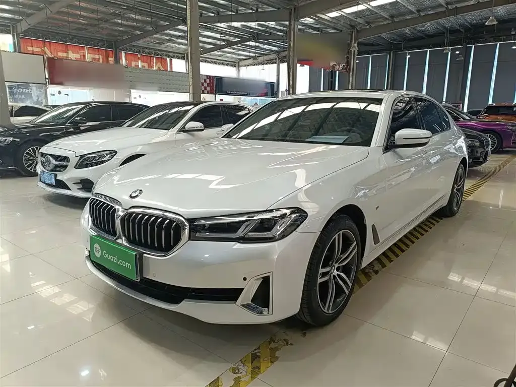BMW 5 Series 2021 из CN, фото 1