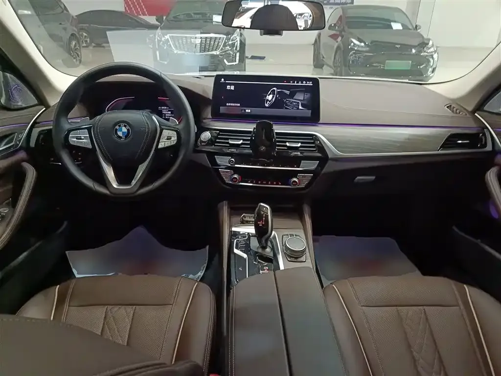 BMW 5 Series 2021 из CN, фото 7