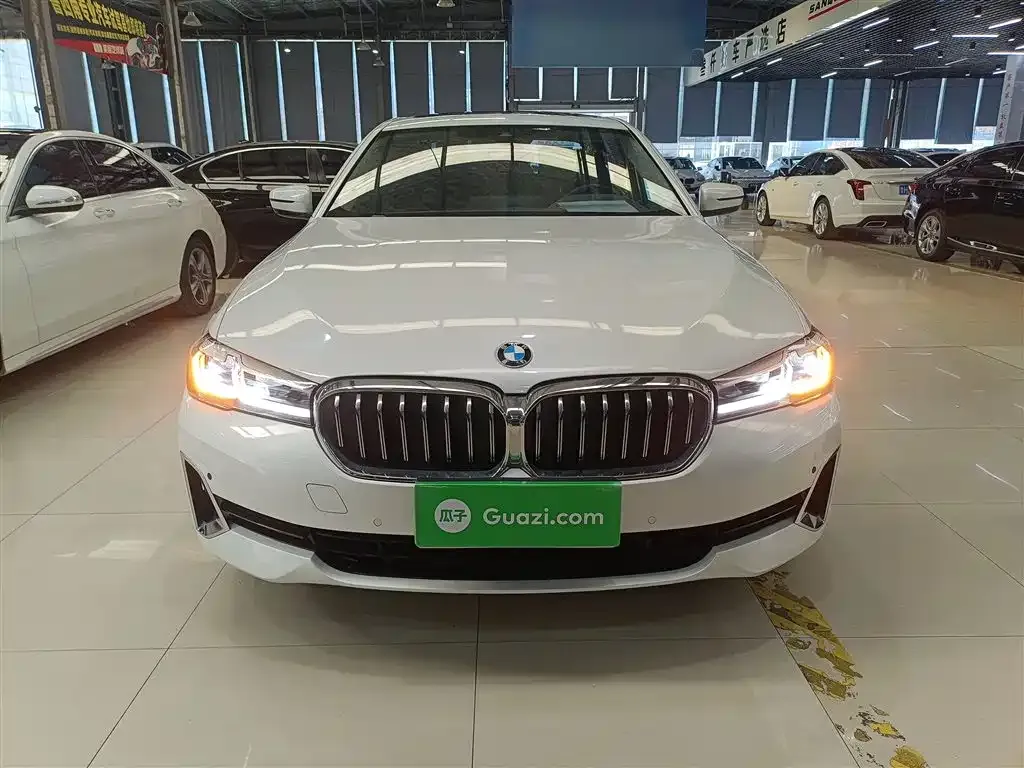 BMW 5 Series 2021 из CN, фото 6