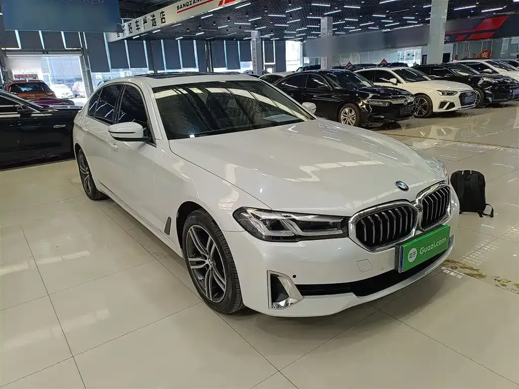 BMW 5 Series 2021 из CN, фото 10