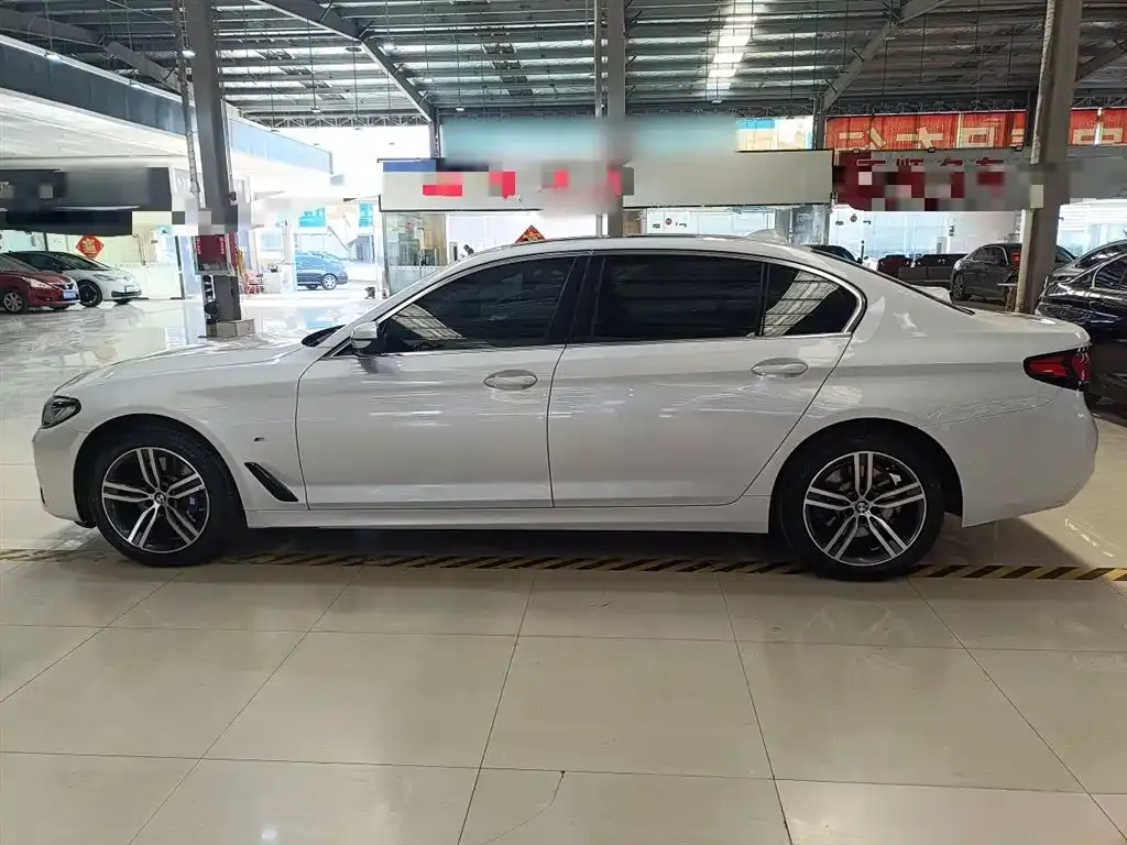 BMW 5 Series 2021 из CN, фото 9