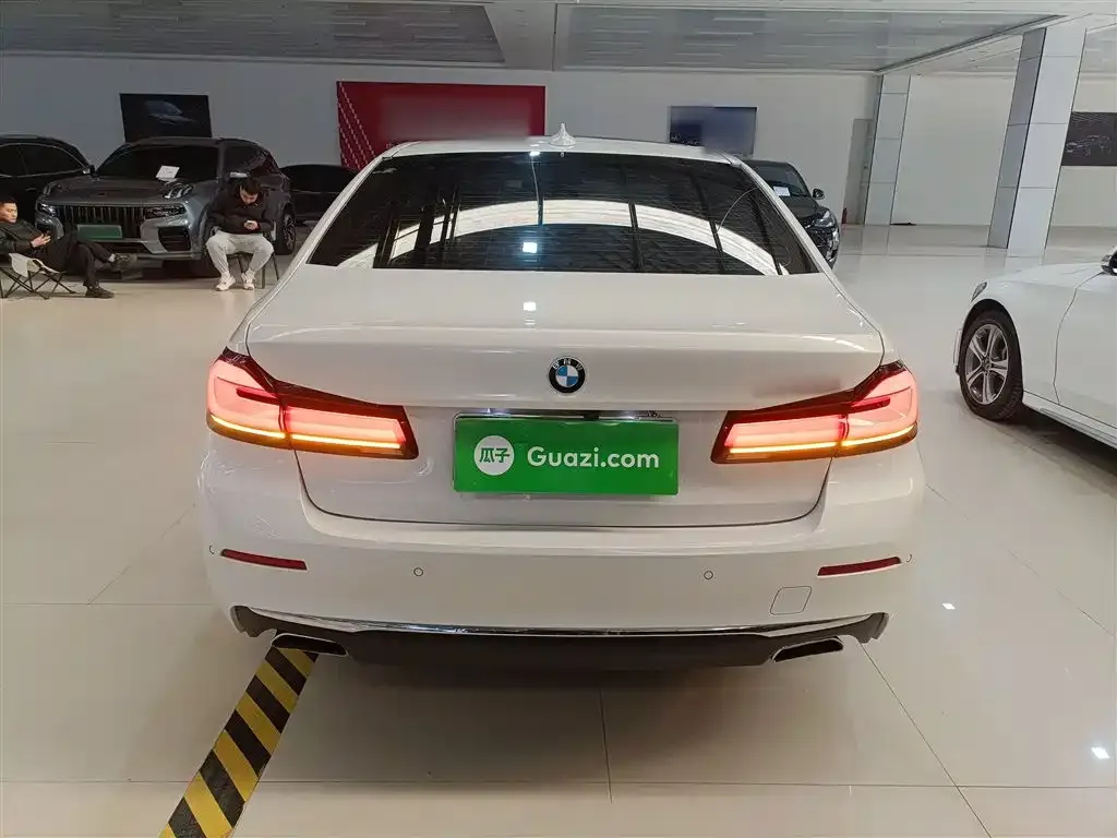 BMW 5 Series 2021 из CN, фото 5