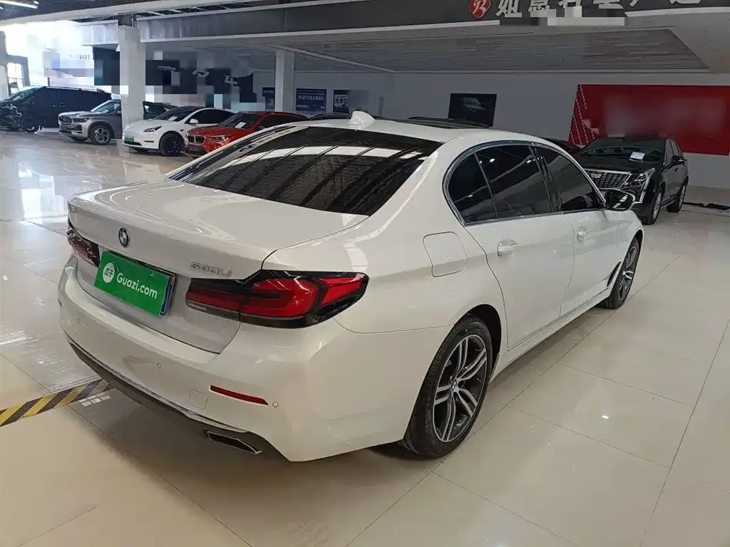 BMW 5 Series 2021 из CN, фото 3