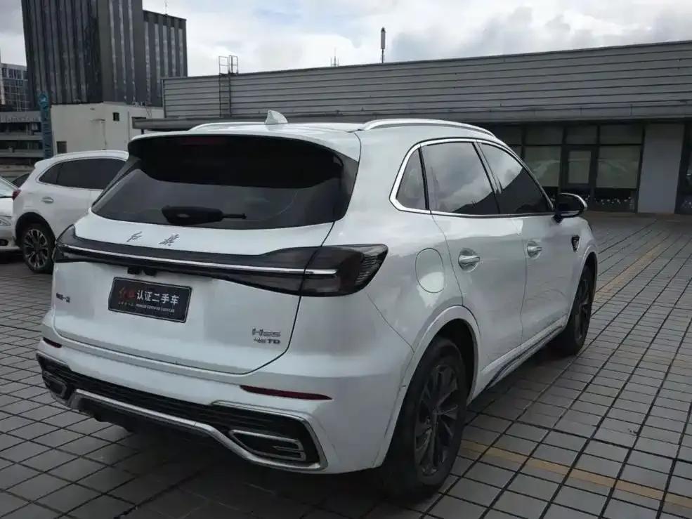 Hongqi HS5 2023 из CN, фото 10