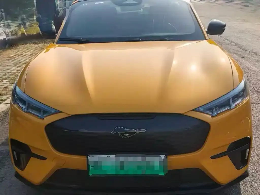 Ford Mustang Mach-E 2024 из CN, фото 9
