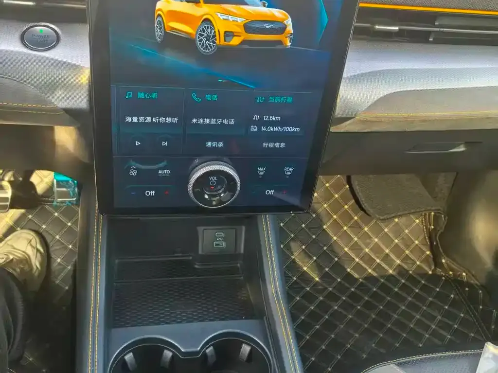 Ford Mustang Mach-E 2024 из CN, фото 8