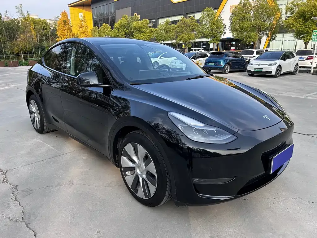 Tesla Model Y 2022 из CN, фото 6