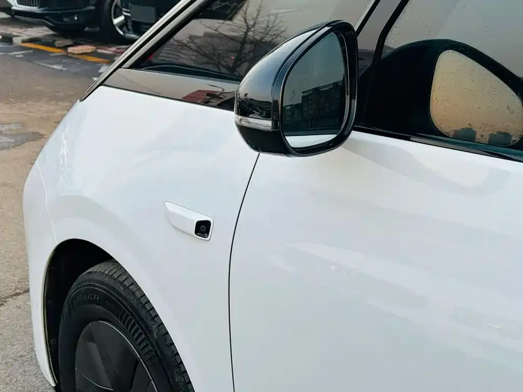Li Auto MEGA 2025 из CN, фото 9