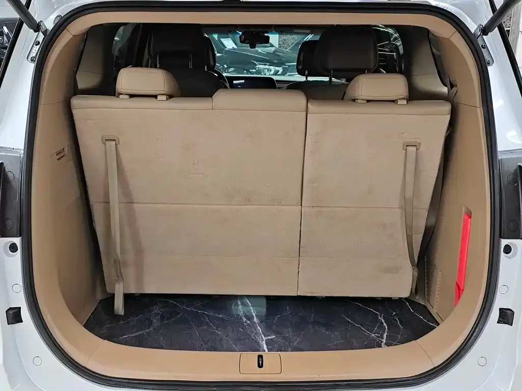 Buick GL8 2021 из CN, фото 3