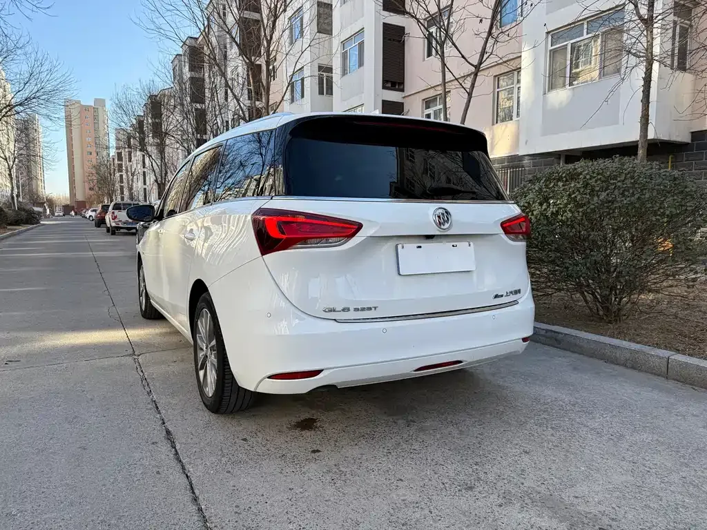 Buick GL6 2023 из CN, фото 9