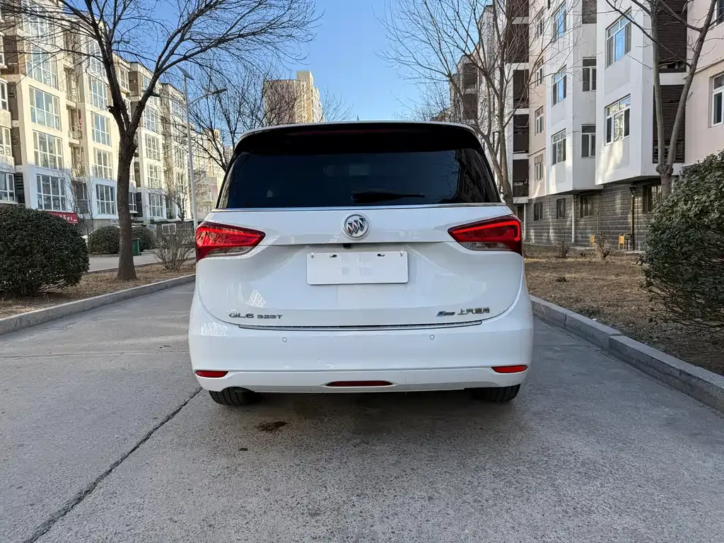Buick GL6 2023 из CN, фото 7