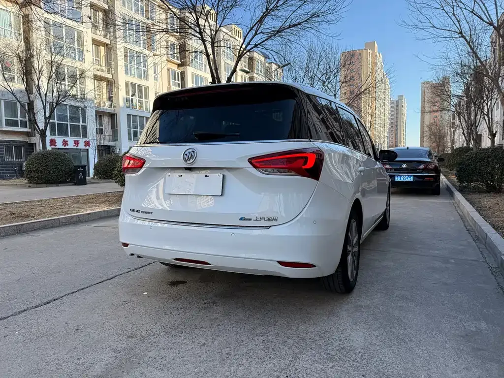 Buick GL6 2023 из CN, фото 6