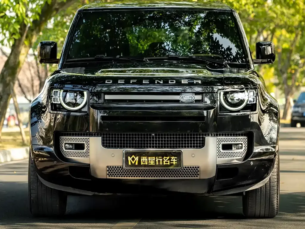 Land Rover Defender 2024 из CN, фото 9