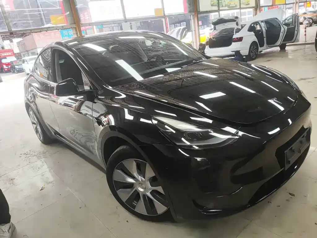 Tesla Model Y — фото 9