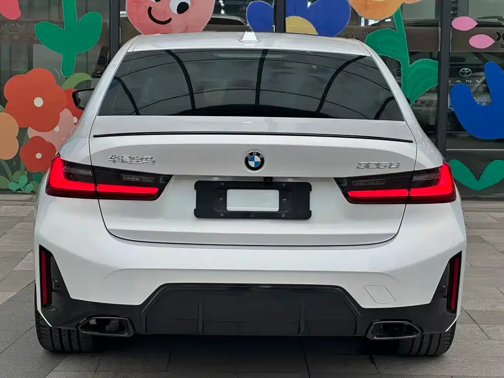 BMW 3 Series 2024 из CN, фото 6
