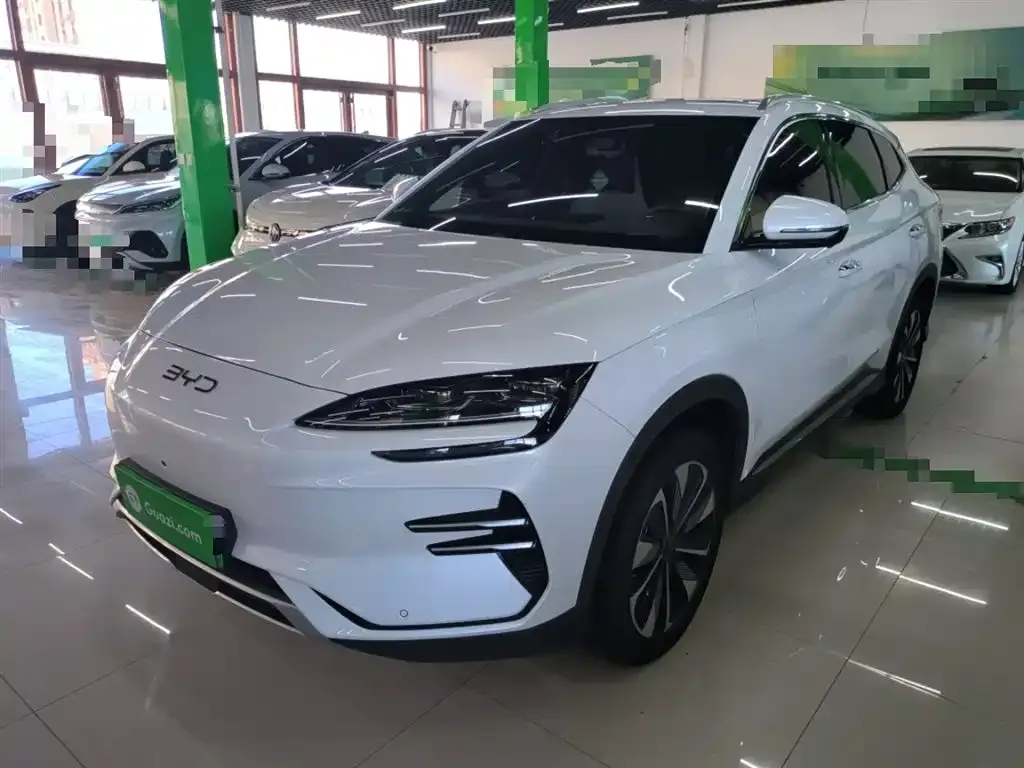 BYD PLUS New Energy — фото 10