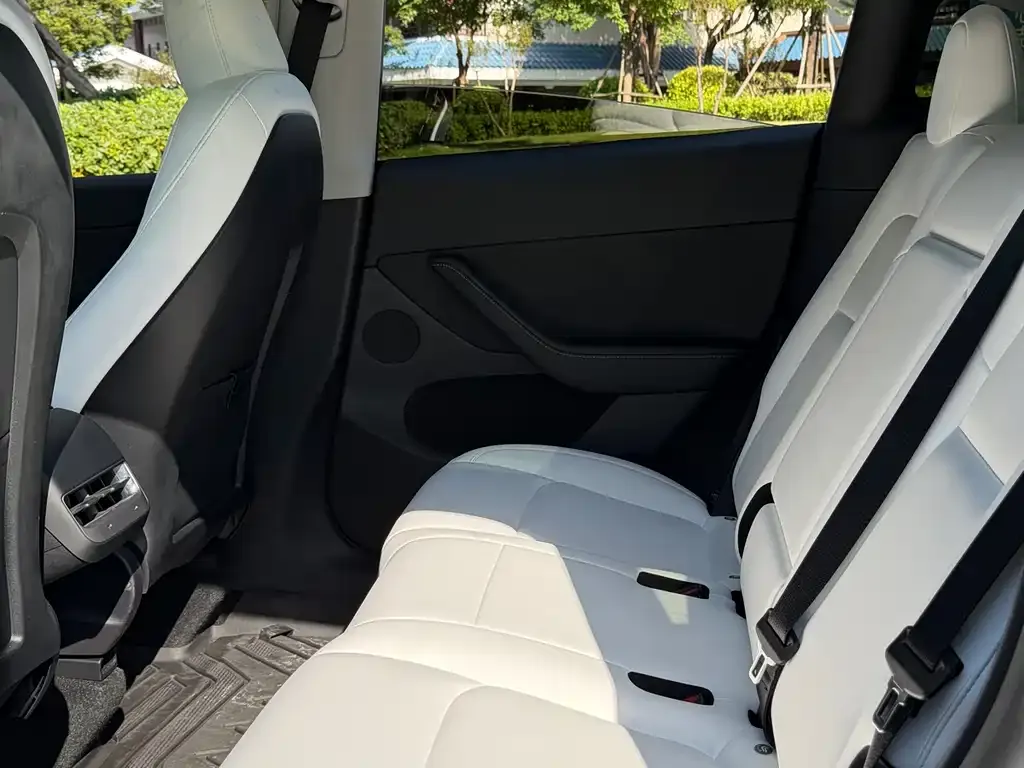 Tesla Model Y 2023 из CN, фото 4