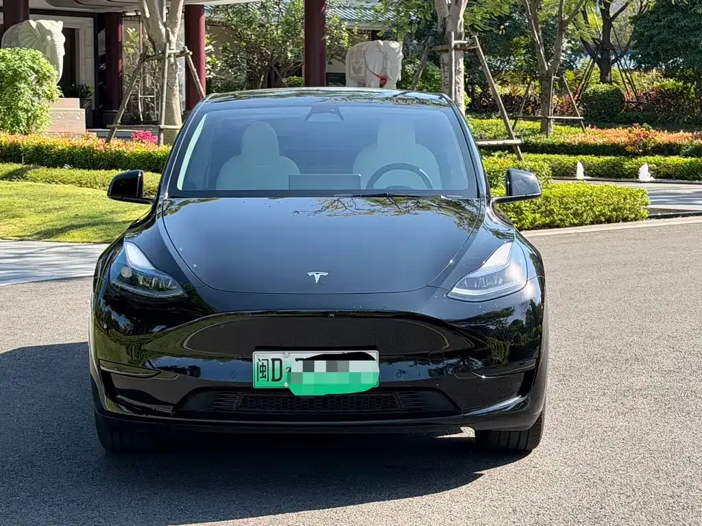 Tesla Model Y 2023 из CN, фото 5