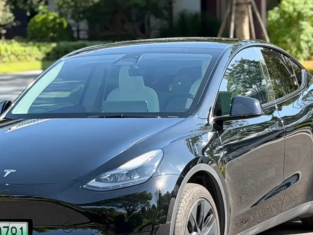Tesla Model Y 2023 из CN, фото 10