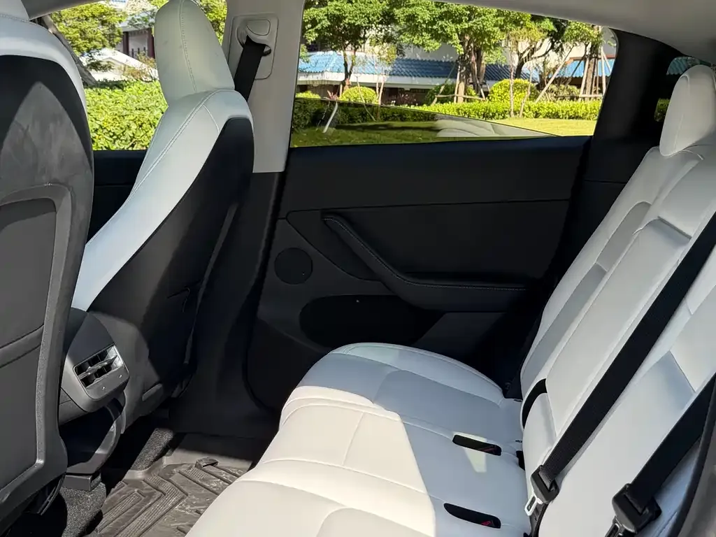 Tesla Model Y 2023 из CN, фото 3