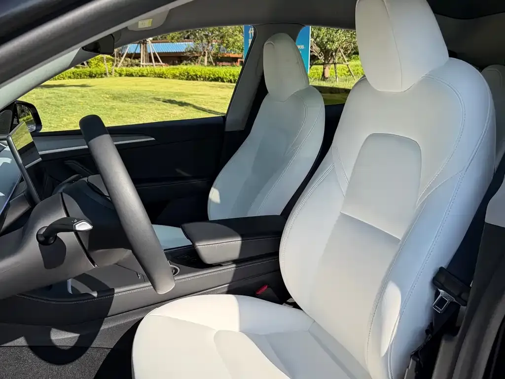 Tesla Model Y 2023 из CN, фото 6