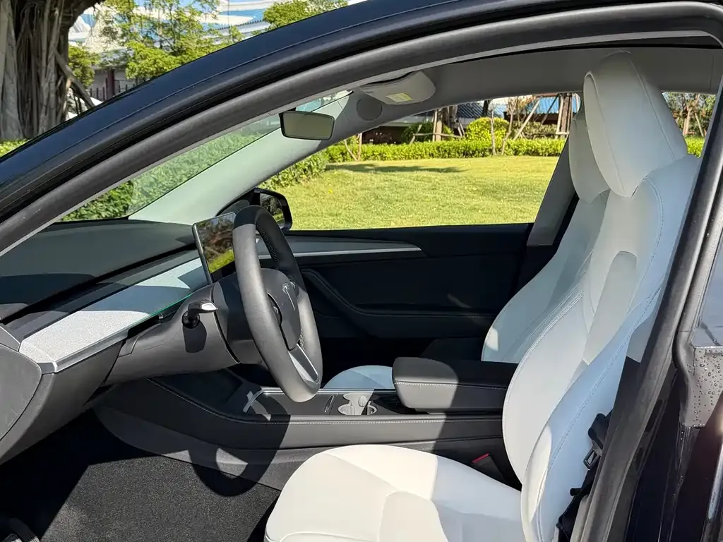 Tesla Model Y 2023 из CN, фото 9