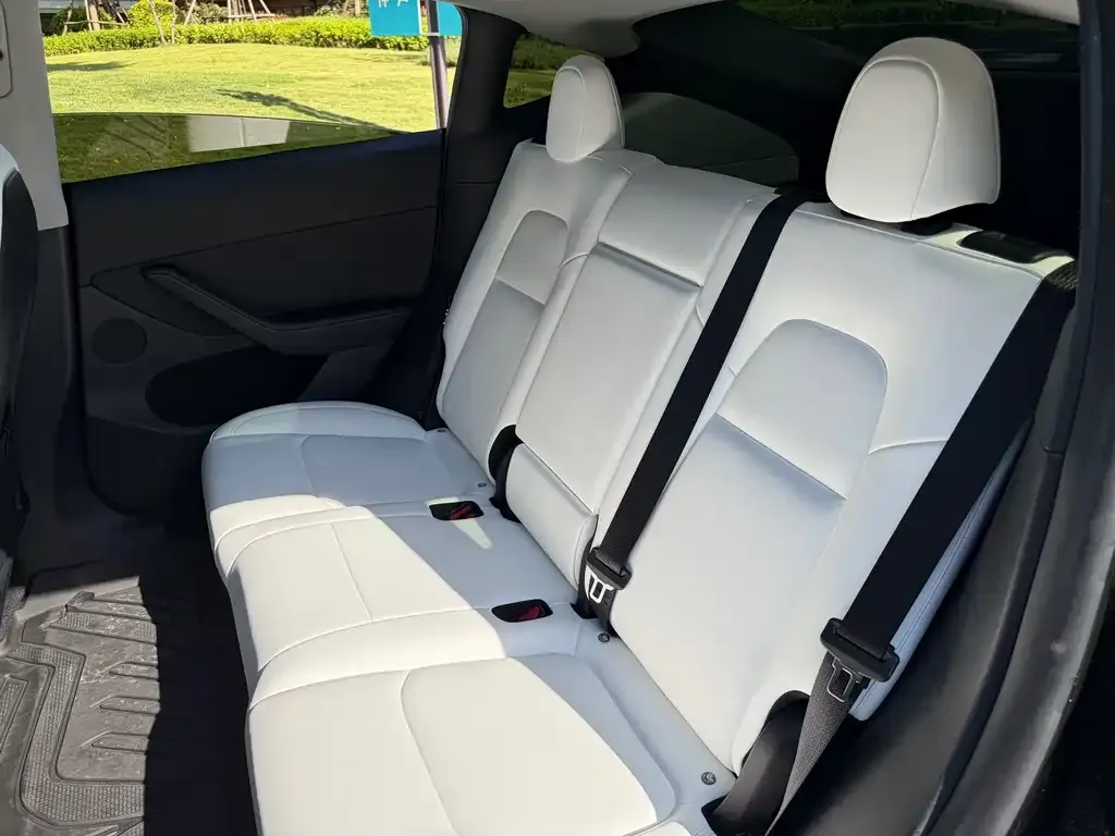 Tesla Model Y 2023 из CN, фото 7