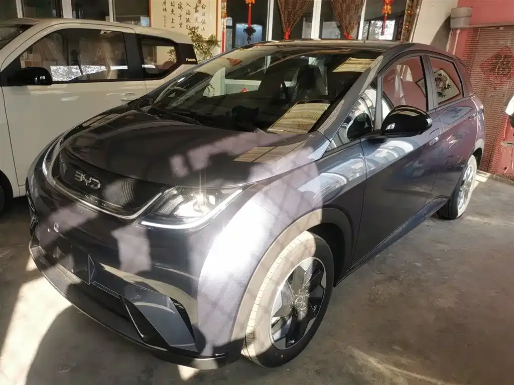 BYD Dolphin 2025 из CN, фото 1