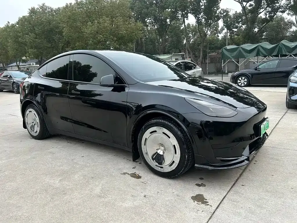 Tesla Model Y 2022 из CN, фото 3