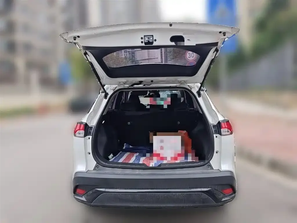 Toyota Frontlander 2024 из CN, фото 6