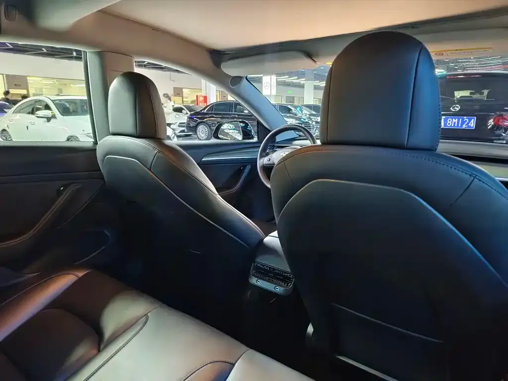 Tesla Model 3 2021 из CN, фото 4