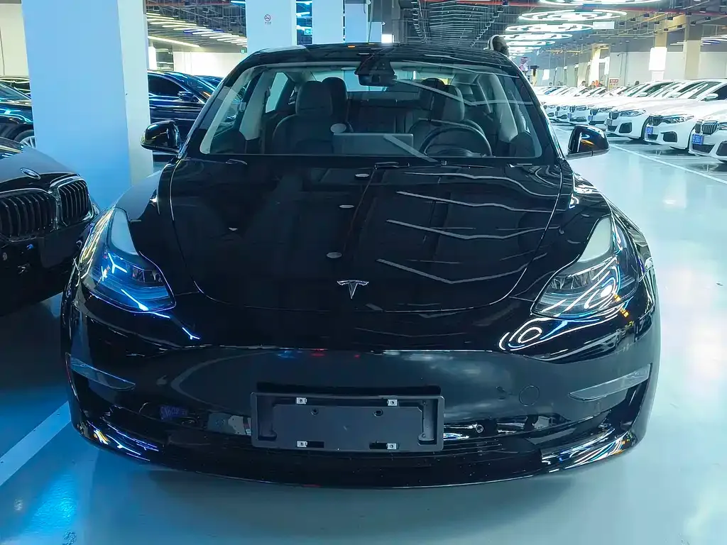 Tesla Model 3 2021 из CN, фото 8