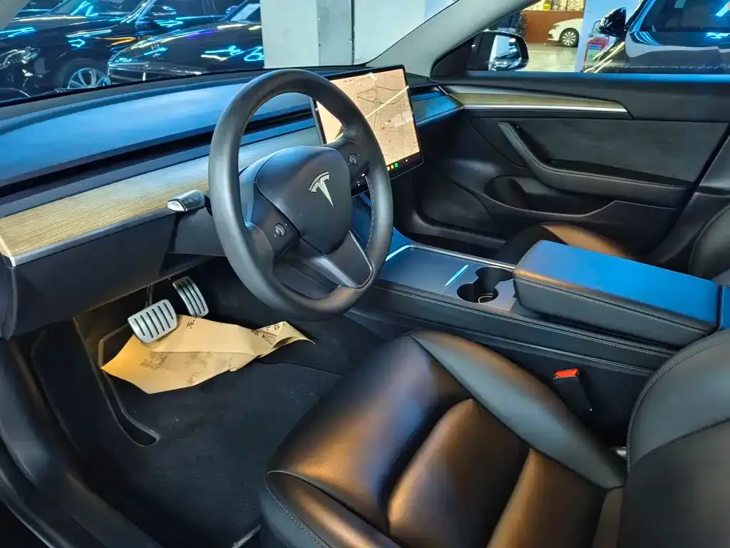 Tesla Model 3 2021 из CN, фото 5