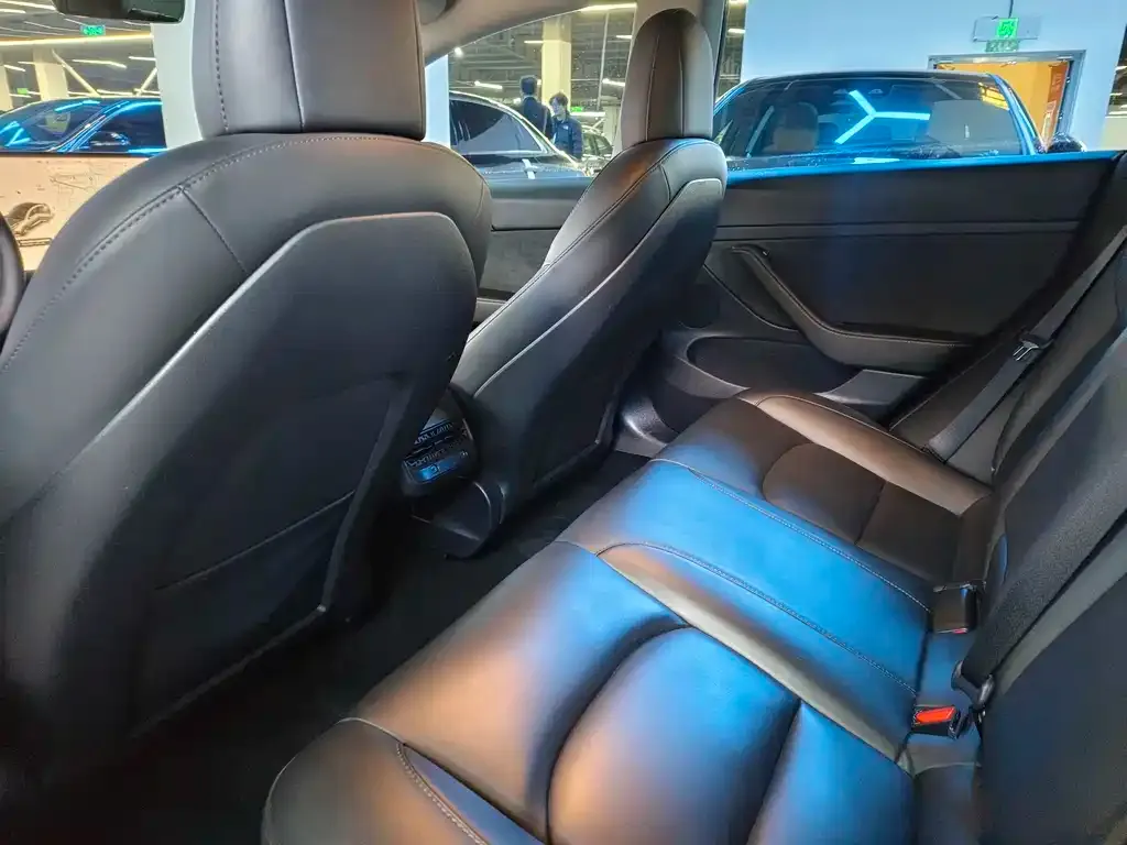 Tesla Model 3 2021 из CN, фото 3