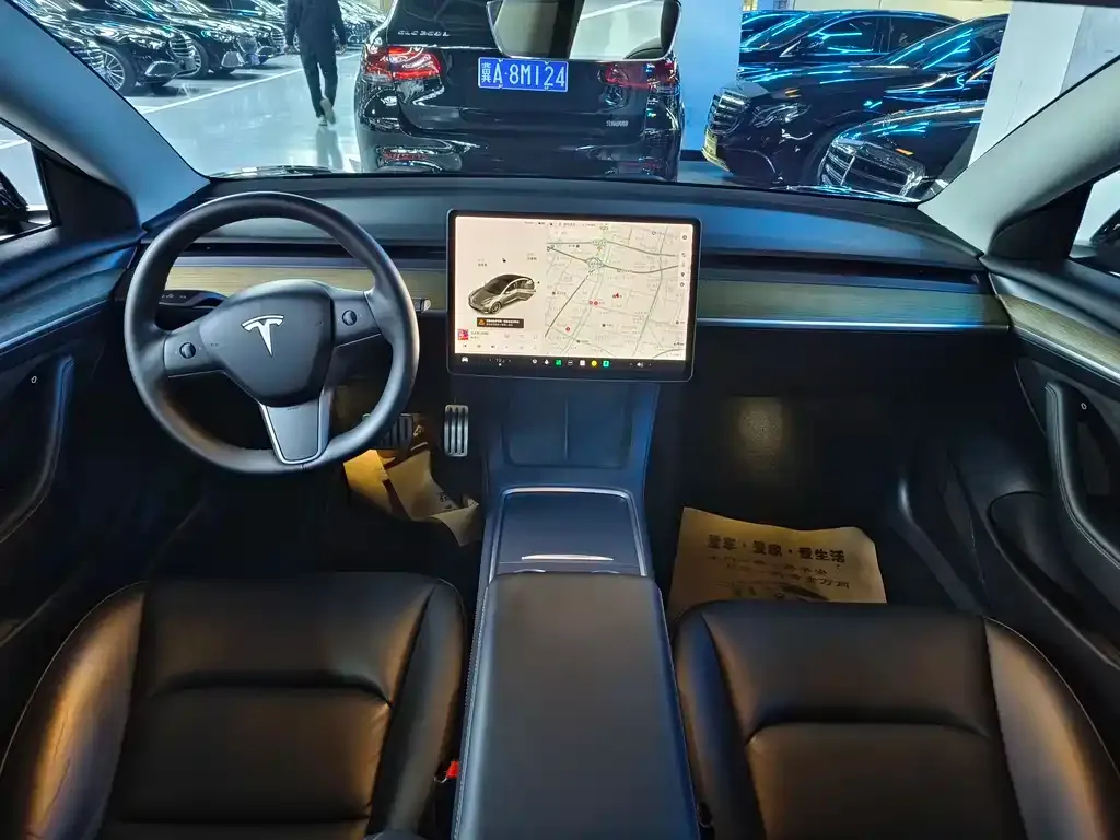 Tesla Model 3 2021 из CN, фото 9