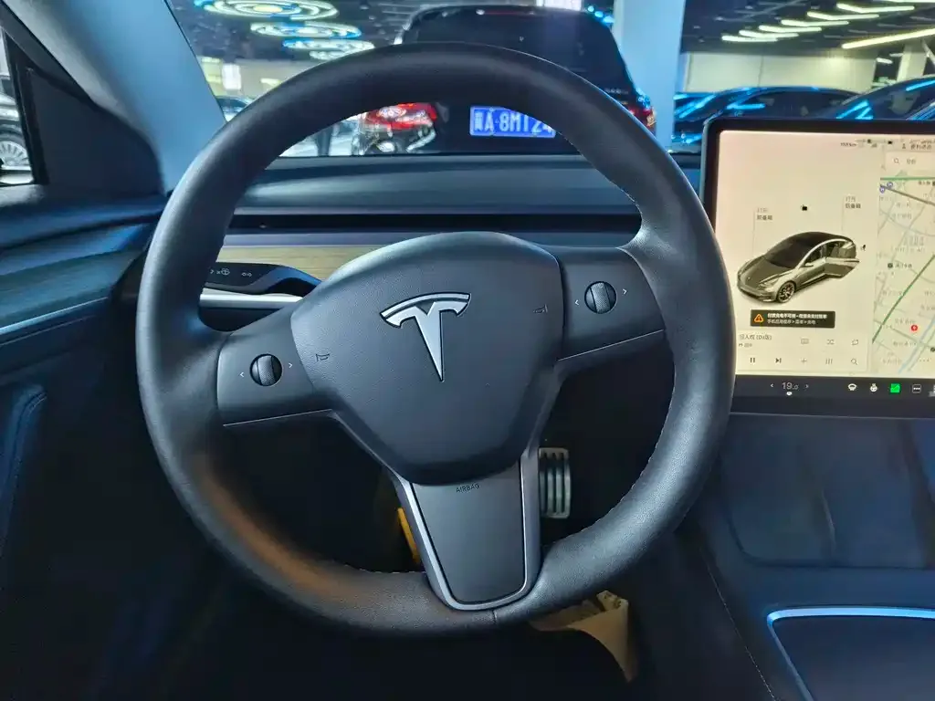 Tesla Model 3 2021 из CN, фото 2