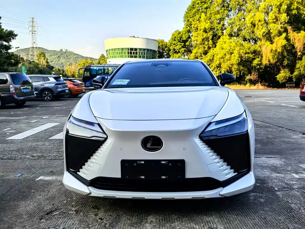 Lexus RZ 2023 из CN, фото 6