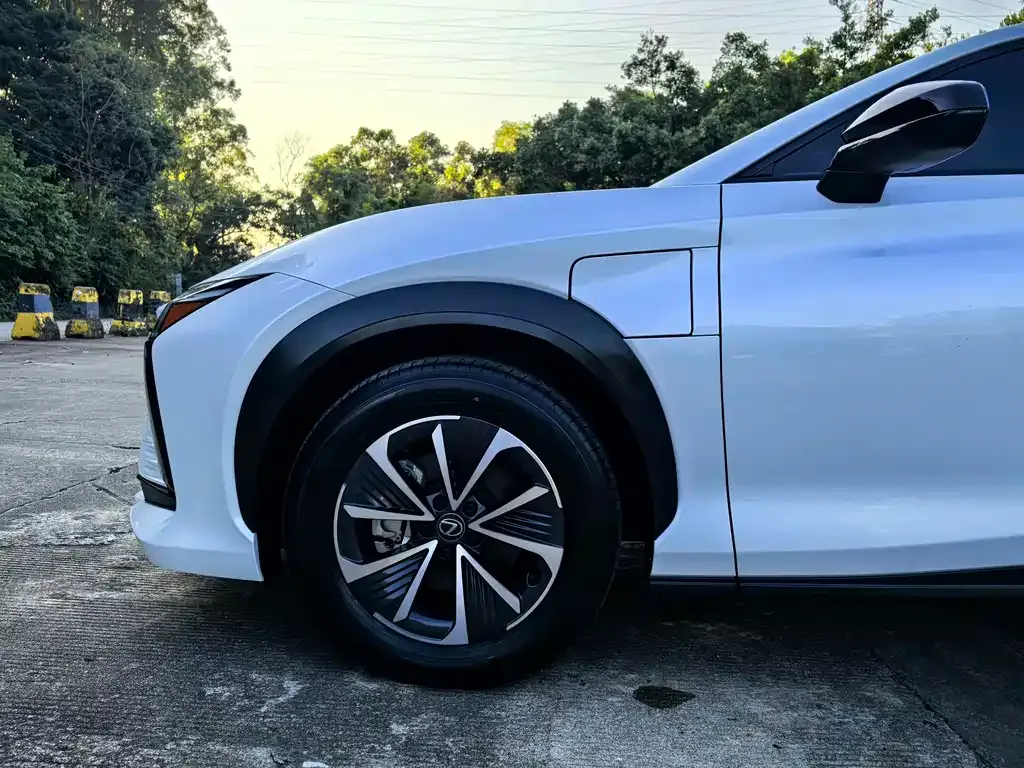 Lexus RZ 2023 из CN, фото 4
