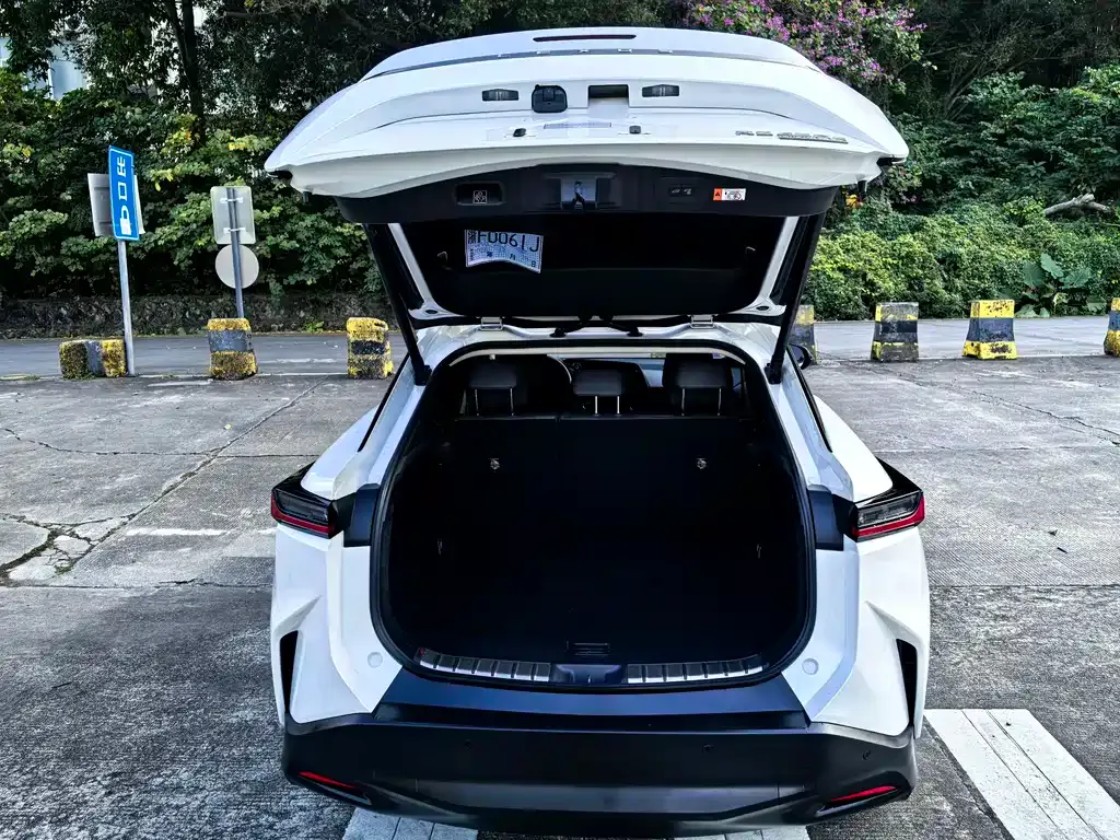 Lexus RZ 2023 из CN, фото 5