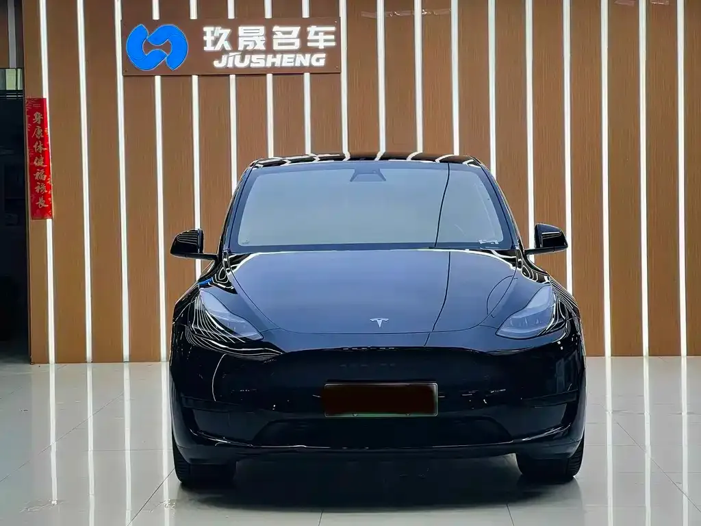 Tesla Model Y — фото 10