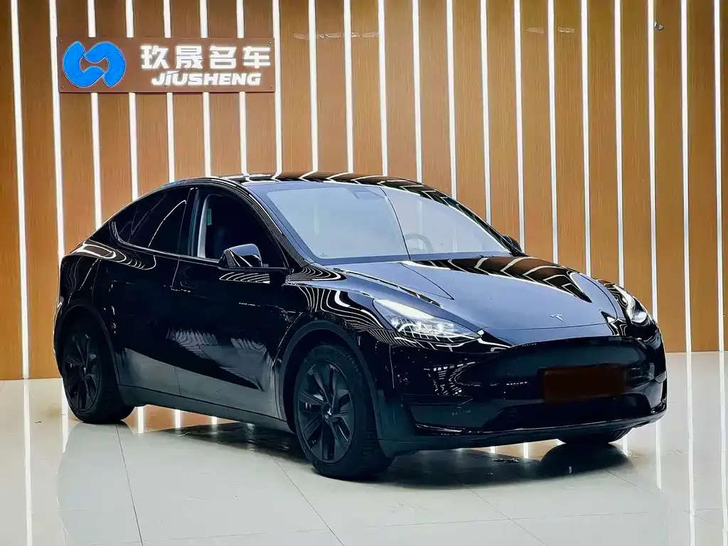 Tesla Model Y — фото 5