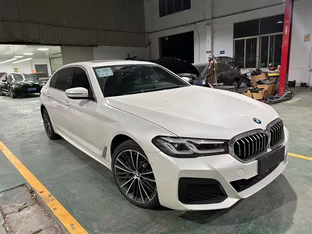BMW 5 Series 2022 из CN, фото 1