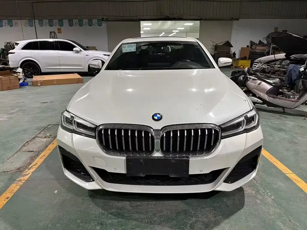 BMW 5 Series 2022 из CN, фото 4