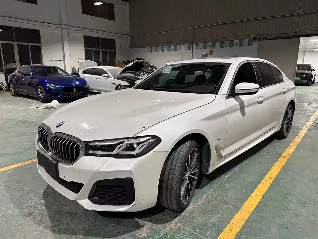 BMW 5 Series 2022 из CN, фото 9