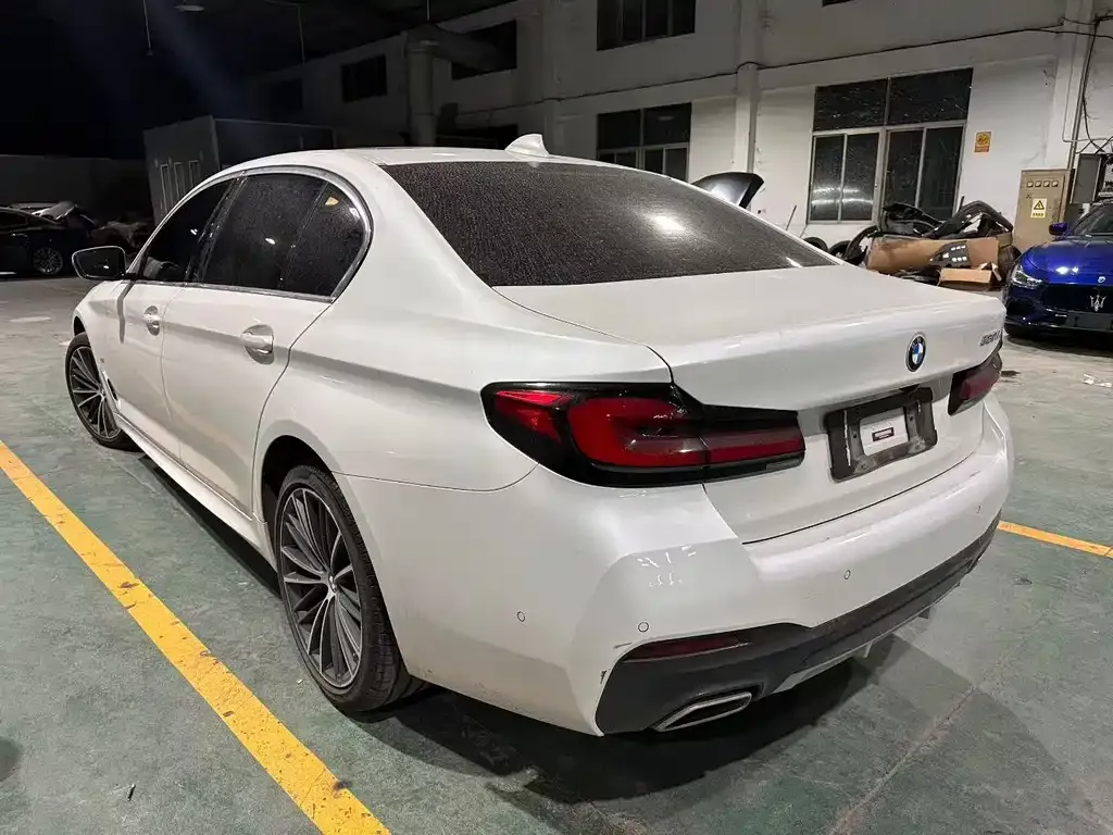 BMW 5 Series 2022 из CN, фото 7