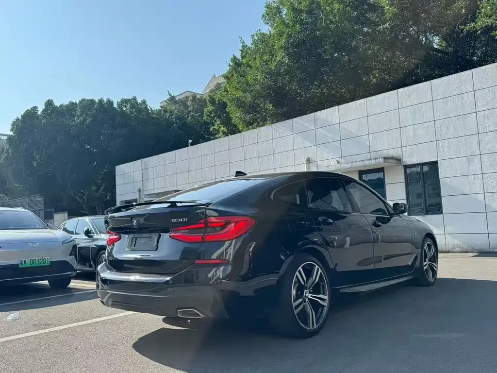 BMW 6 Series GT 2021 из CN, фото 7