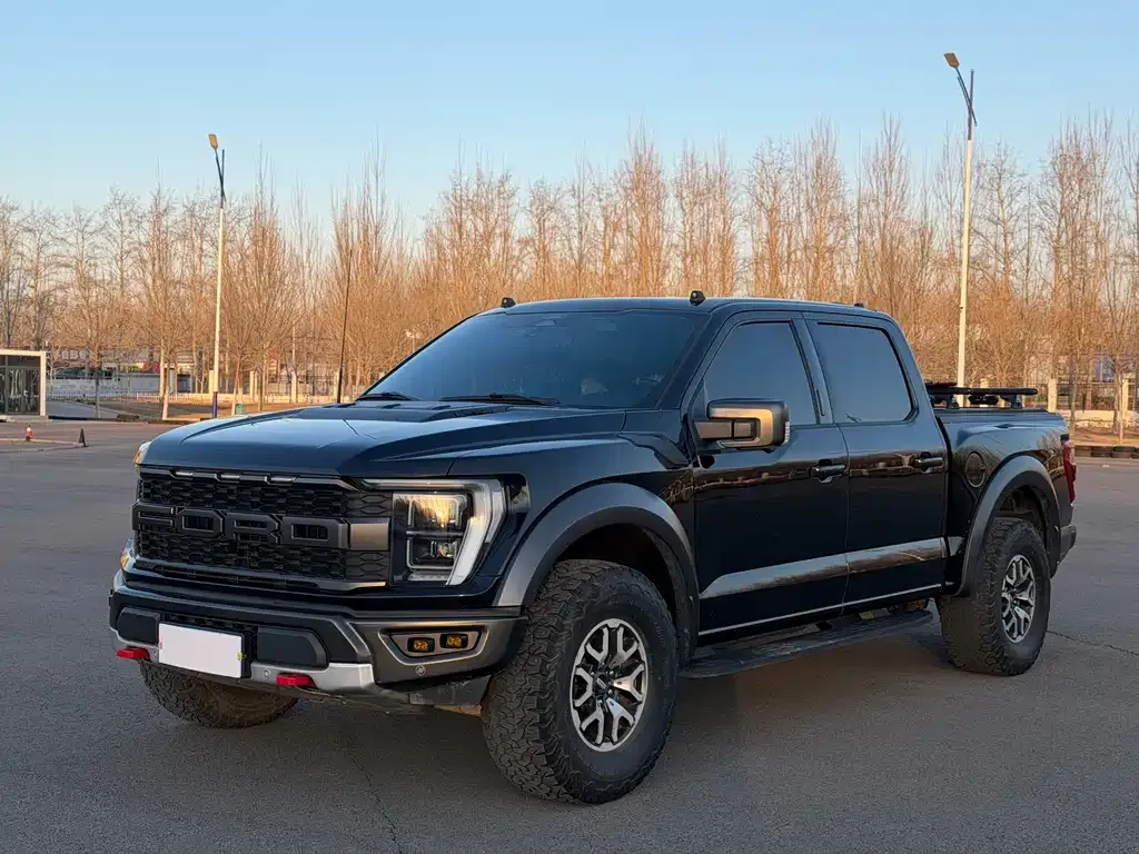 Ford F-150 Raptor 2024 из CN, фото 1