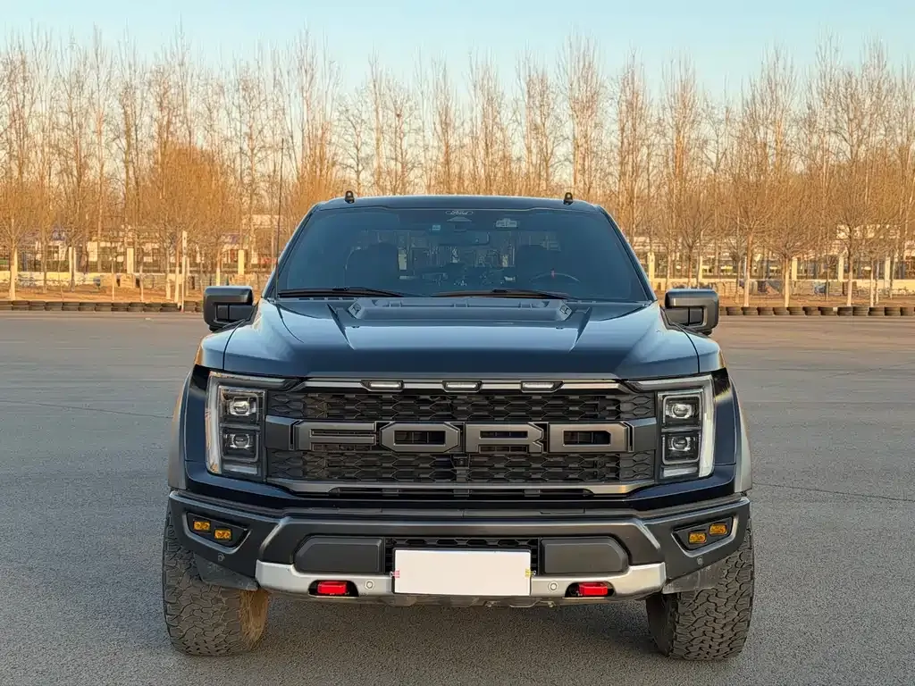 Ford F-150 Raptor 2024 из CN, фото 7