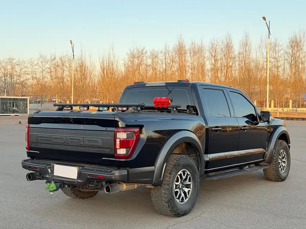 Ford F-150 Raptor 2024 из CN, фото 9