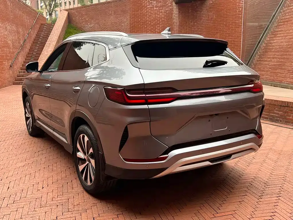 BYD PLUS New Energy 2024 из CN, фото 3